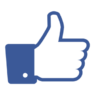Widget Social Widget Social